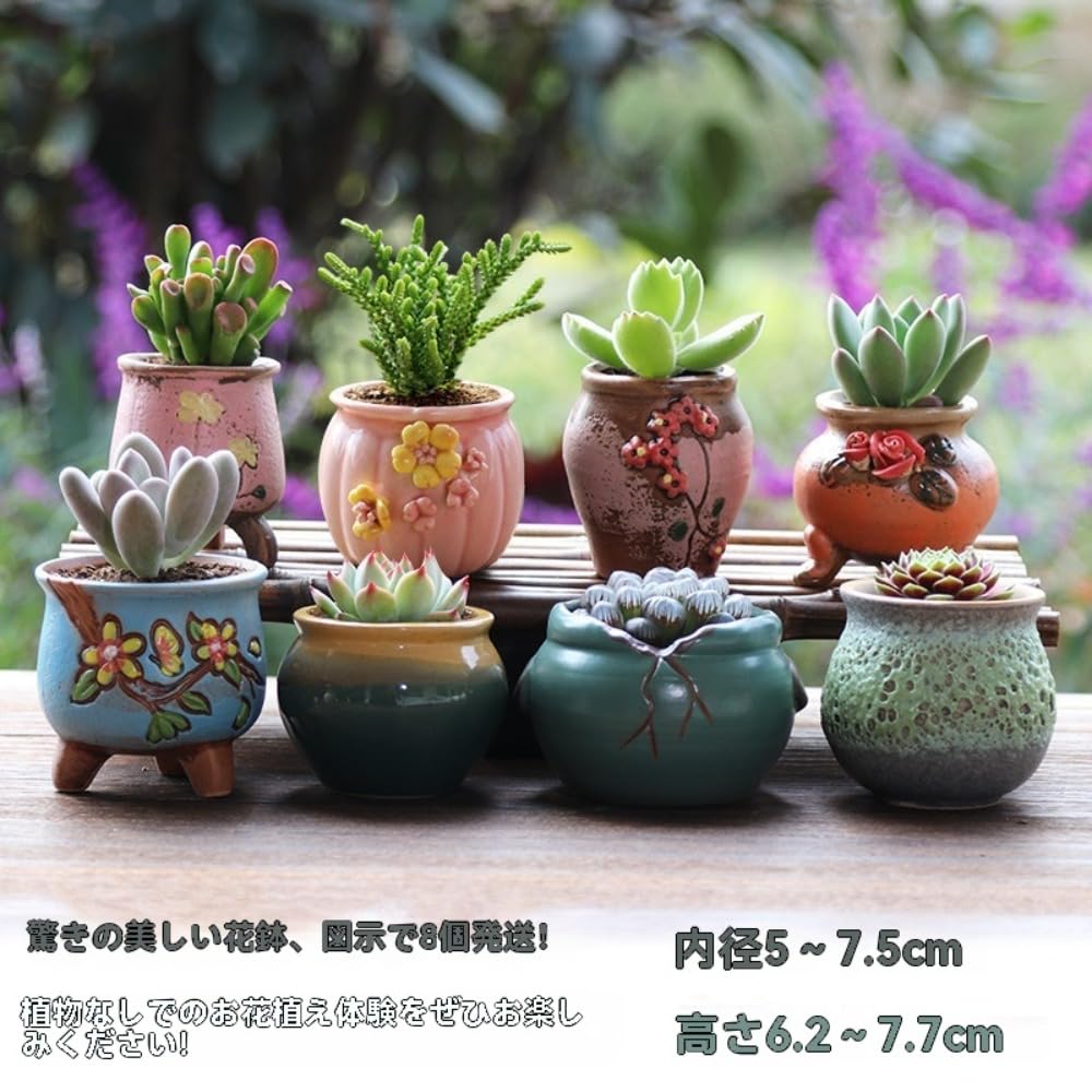 Amazon.co.jp: YAKINOミニ植木鉢 陶器製無釉素材 手描き塗り絵デザイン