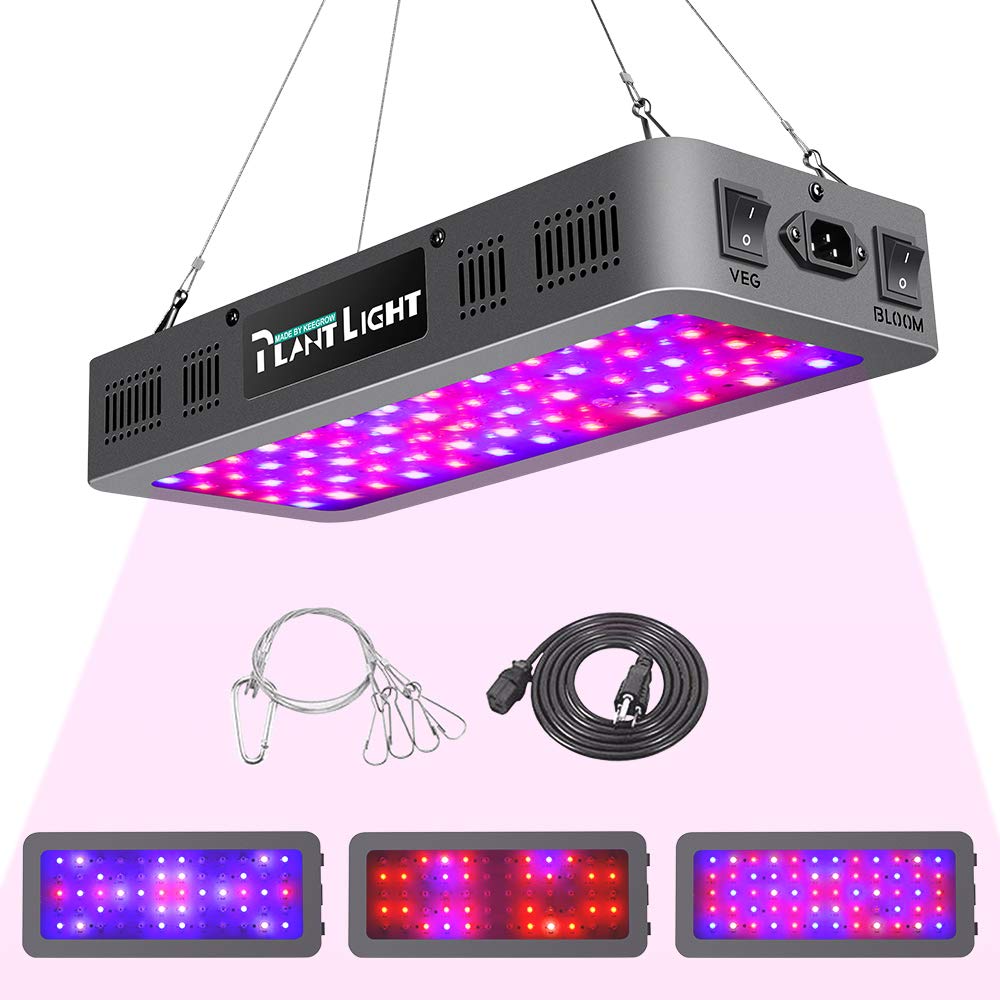 Buy 600W LED Grow Light Double On/Off Switch Full Spectrum Grow Lamp ...