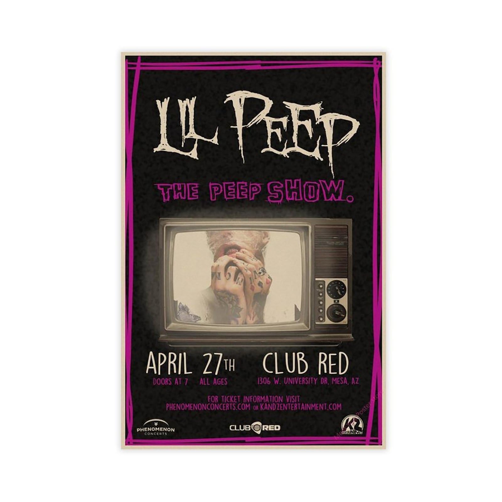 SAOGVDC Rapper Lil Peep Poster (2) Canvas Poster for Dorm Room Decor Gift