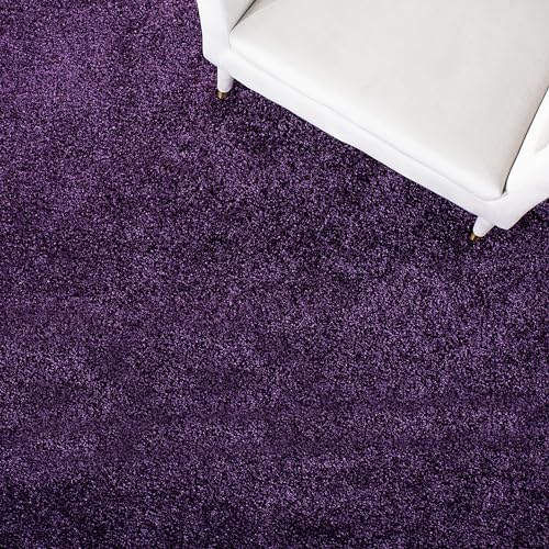 Image of AROMICK Modern Polyester Anti Slip Shaggy Fluffy Rug and Carpet for Living Room, Bedroom & Dining Room (4 x 6 Feet, Purple)