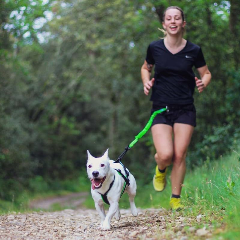 Inlandsis Canicross Geschirr für kleine Hunde, Open-Back
