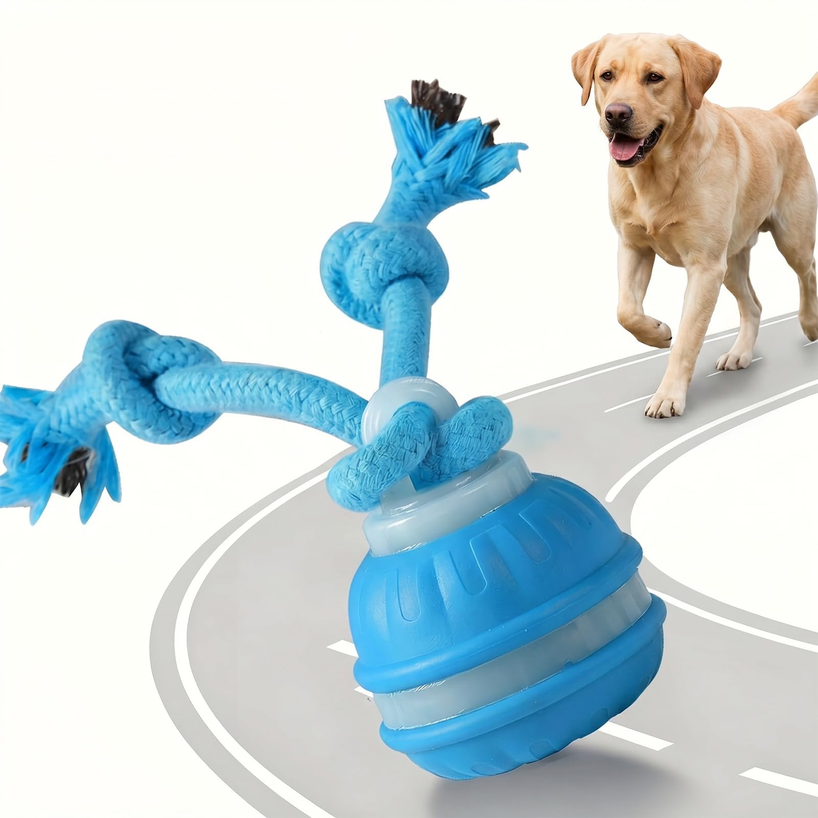 SureFly Interactive Dog Ball Toy, Motion Activated Automatic Rolling Ball for Puppy Boredom Relief, Smart Self-Moving Pet Toys with LED Lights, USB Rechargeable Durable TPU for Indoor Play
