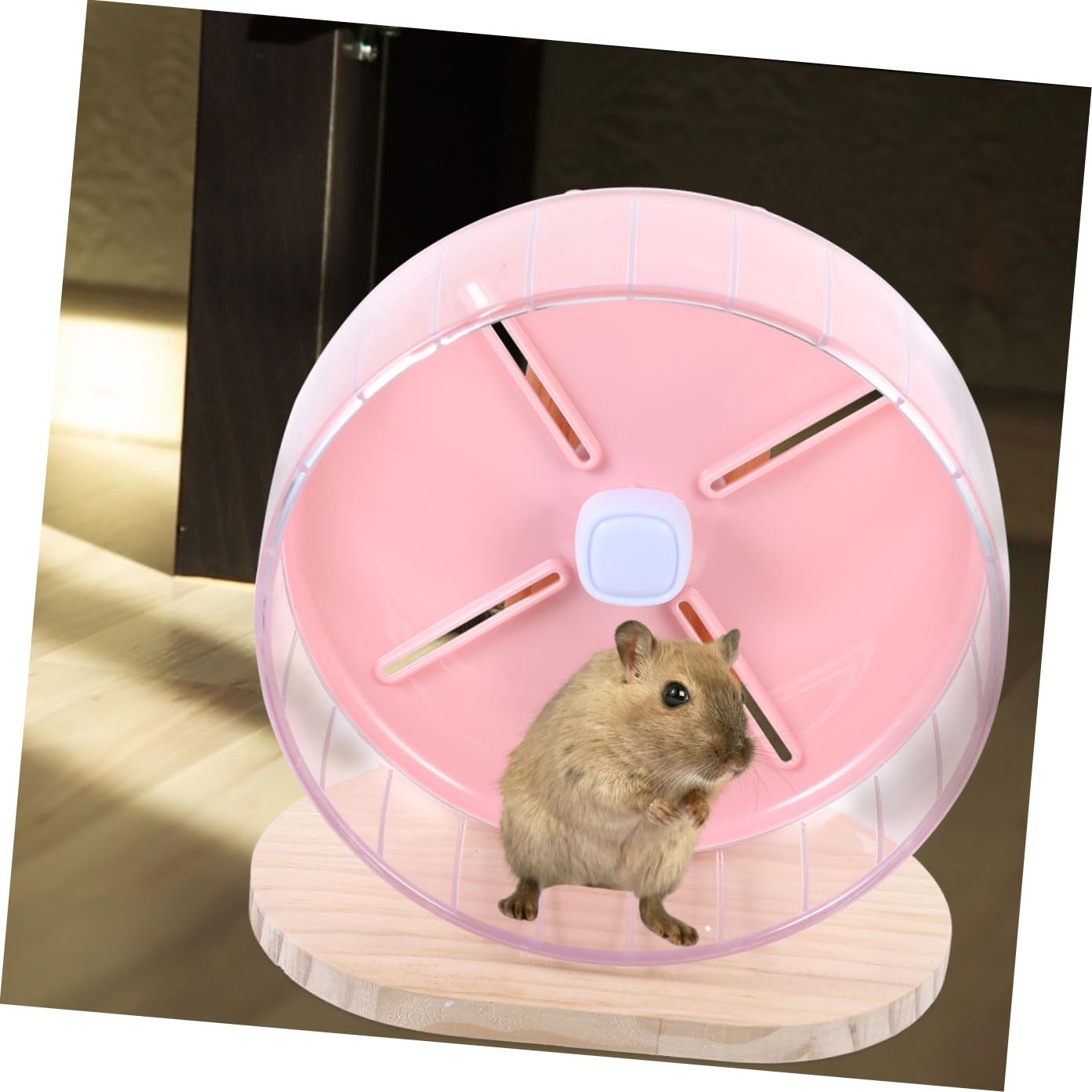 Roue Silencieuse pour Hamster avec Support Compacte et Durable pour Cage de Souris et Chinchilla Roue Dexercice pour Petits Rongeurs
