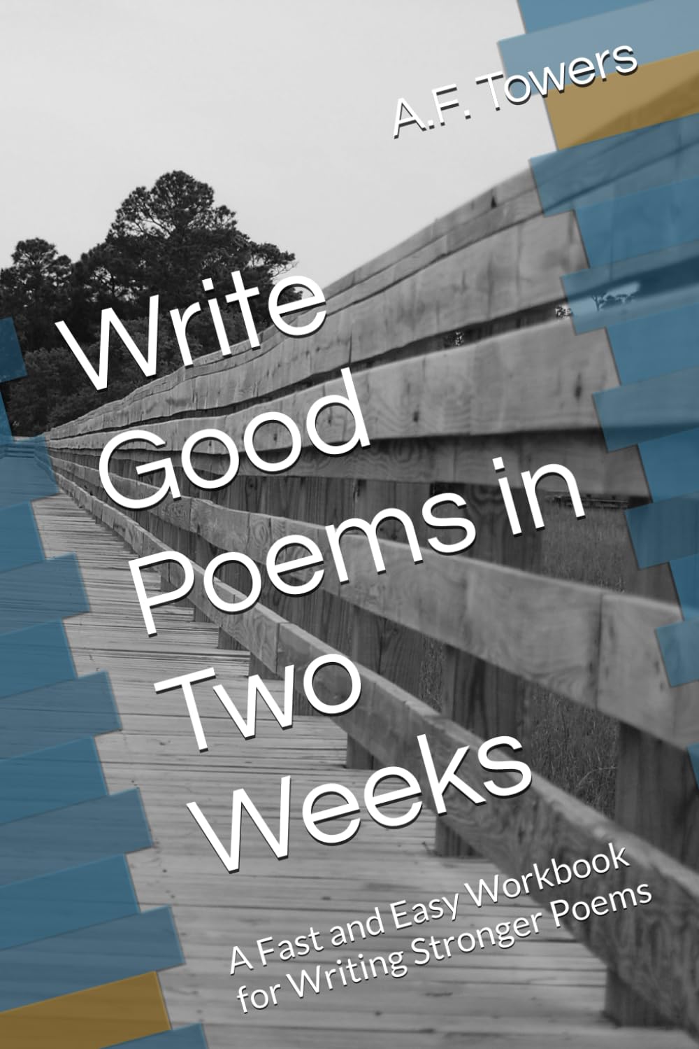 Write Good Poems in Two Weeks: A Fast and Easy Workbook for Writing Stronger Poems