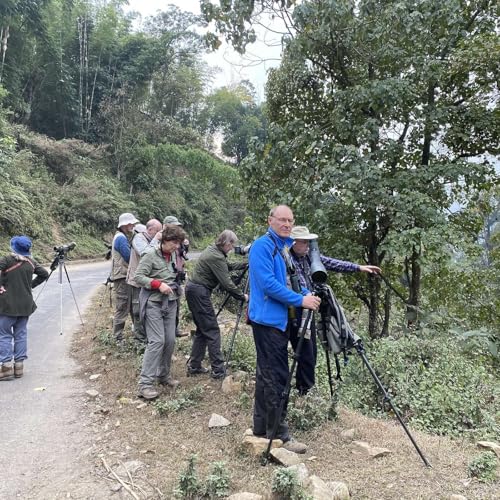 Birding in Bhutan