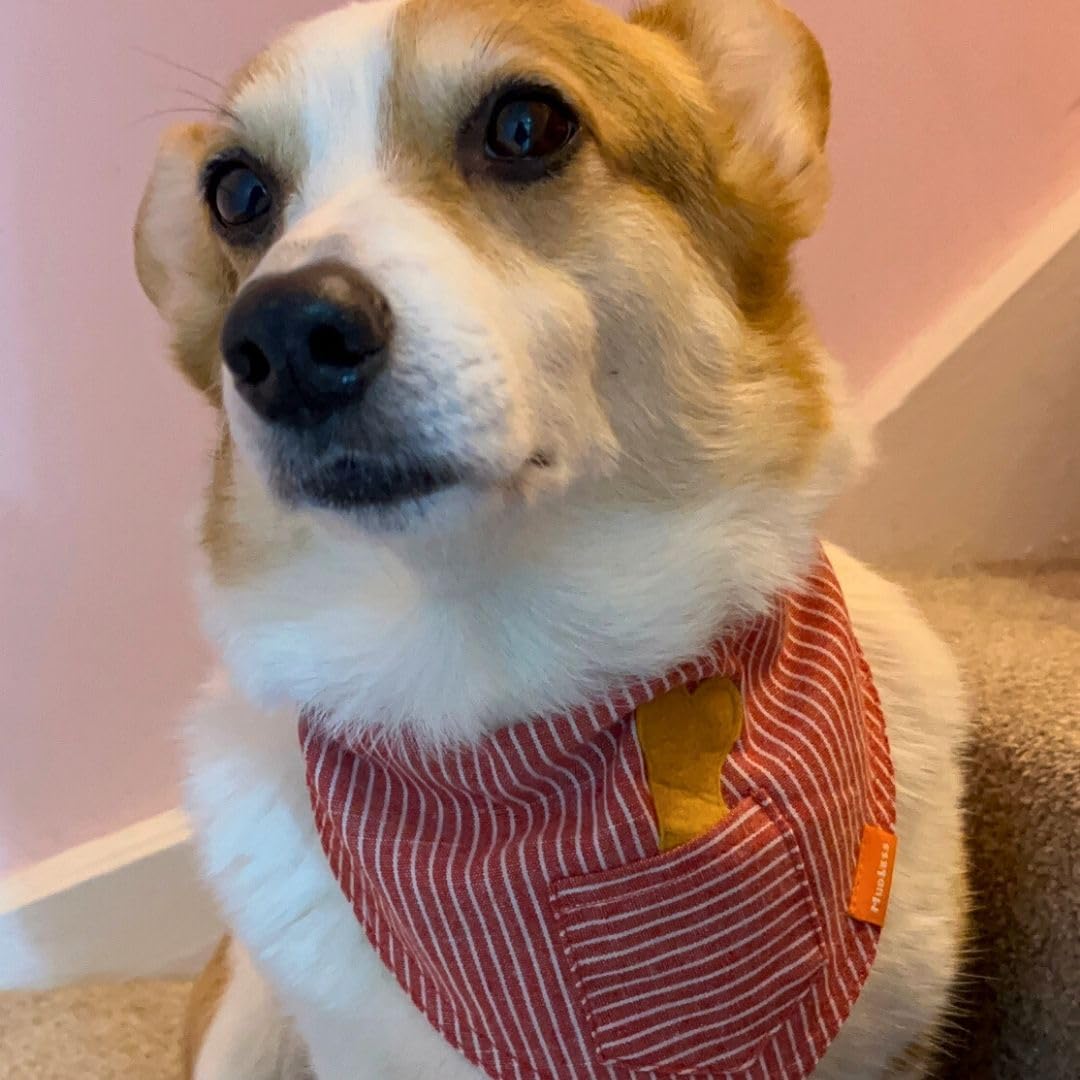 MUDLESS Dog Bandana Neckerchief, Breathable Dog Scarf Accessories - Image 4