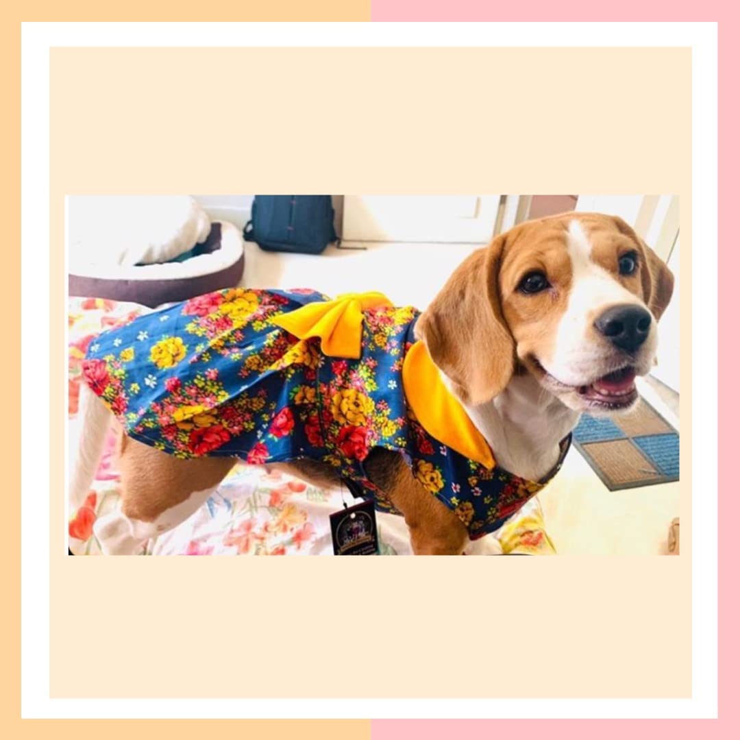 See full amazon price history chart for Kitty & The Woof Gang Beautiful Blue Denim Party Dress with Multicolored Floral Print and Mustard Color Bow and Collar | Dog, Cat Dress Small Medium Large Dog Female | Size XS Kitty & The Woof Gang Beautiful Blue Denim Party Dress with Multicolored Floral Print and Mustard Color Bow and Collar | Dog, Cat Dress Small Medium Large Dog Female | Size XS (B08F62FGZ4) Amazon Price History, Amazon Price Tracker