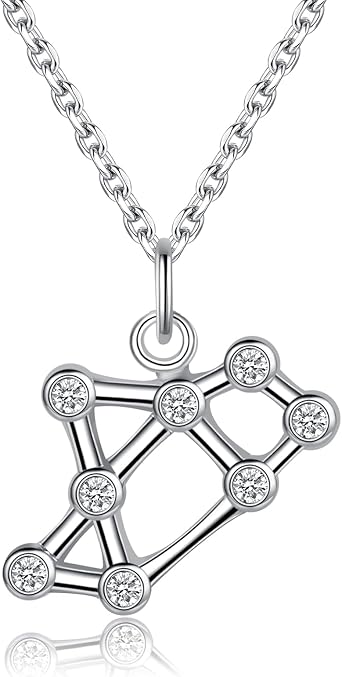 VIKI LYNN 925 Sterling Silver Astrology Constellation Horoscope Zodiac Star Sign Pendant Necklace for Women