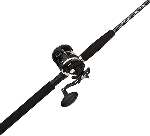 Penn Rival II Level Wind Conventional Reel and Fishing Rod Combo