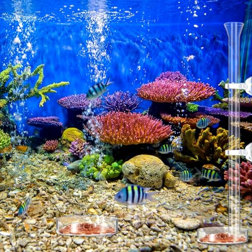 Image of CHENGU 3 Pieces Shrimp Feeding Tube and Dish Set, 12 Inch Glass Shrimp Feeder Tube and 2 Aquarium Dish Bowl Fish Tank Feeding Supplies for Fish Tank Aquarium