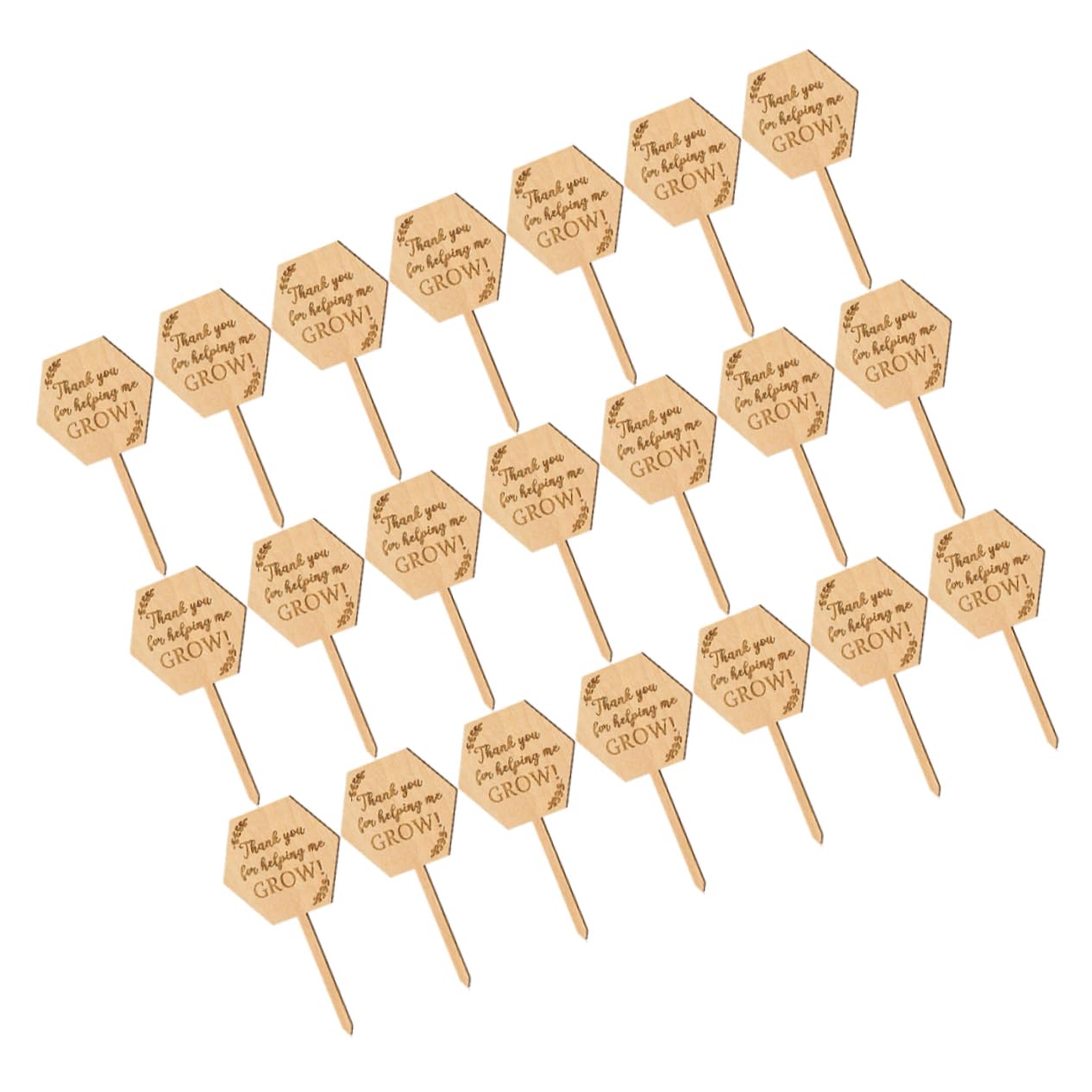 ibasenice 5 Ensembles Étiquette En Bois Étiquettes De Pépinière De Jardin Étiquettes De Plantes De Pépinière Toi Nom Pour Étiquettes De La Pot De Fleurs Étiquettes De Semis 40 Pièces * 5