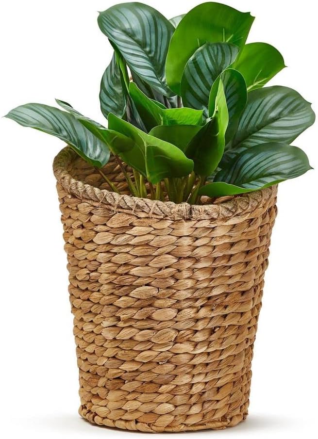 Two's Company Rice Nut Weave Hanging Storage/Planter Basket