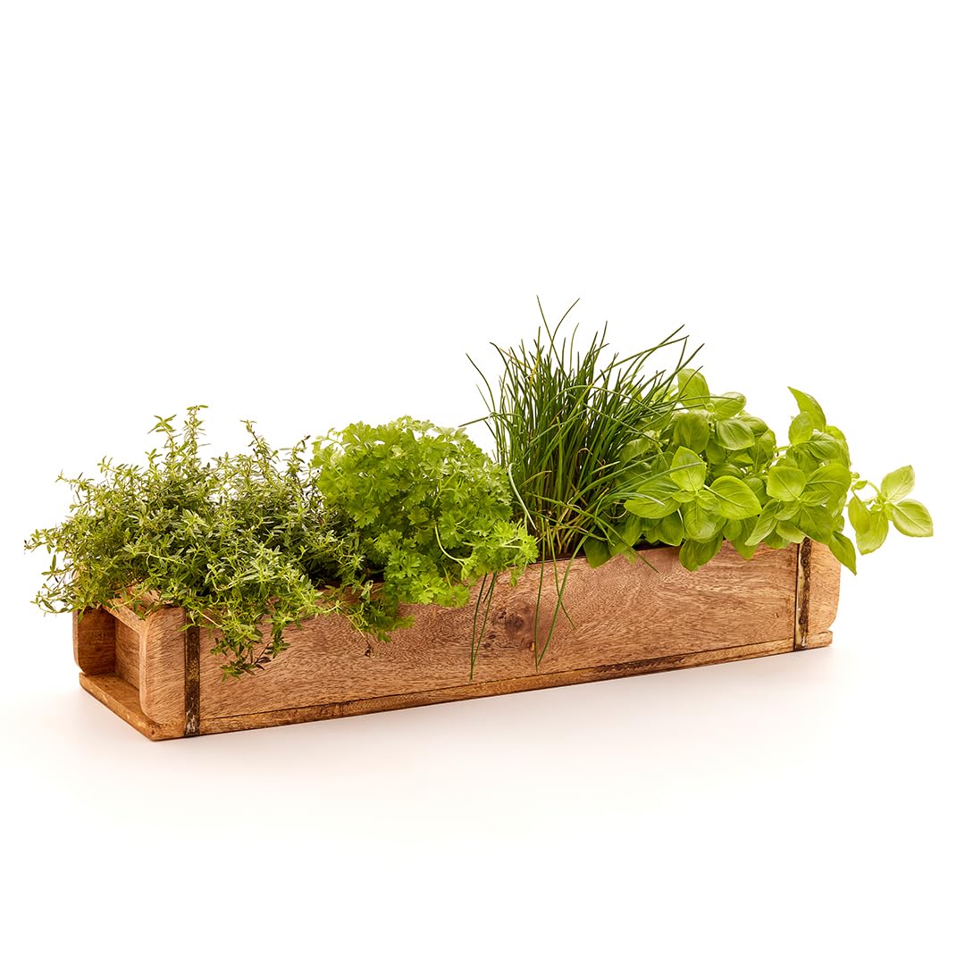 Die Stadtgärtner 2 x Vintage Ziegelformen aus recyceltem Holz mit zwei Kammern – 50 x 14 x 10 cm | Holzkisten mit zwei Kammern | Hochwertige Dekokisten mit Metallbeschlägen | Pflanzkiste | Holzbox