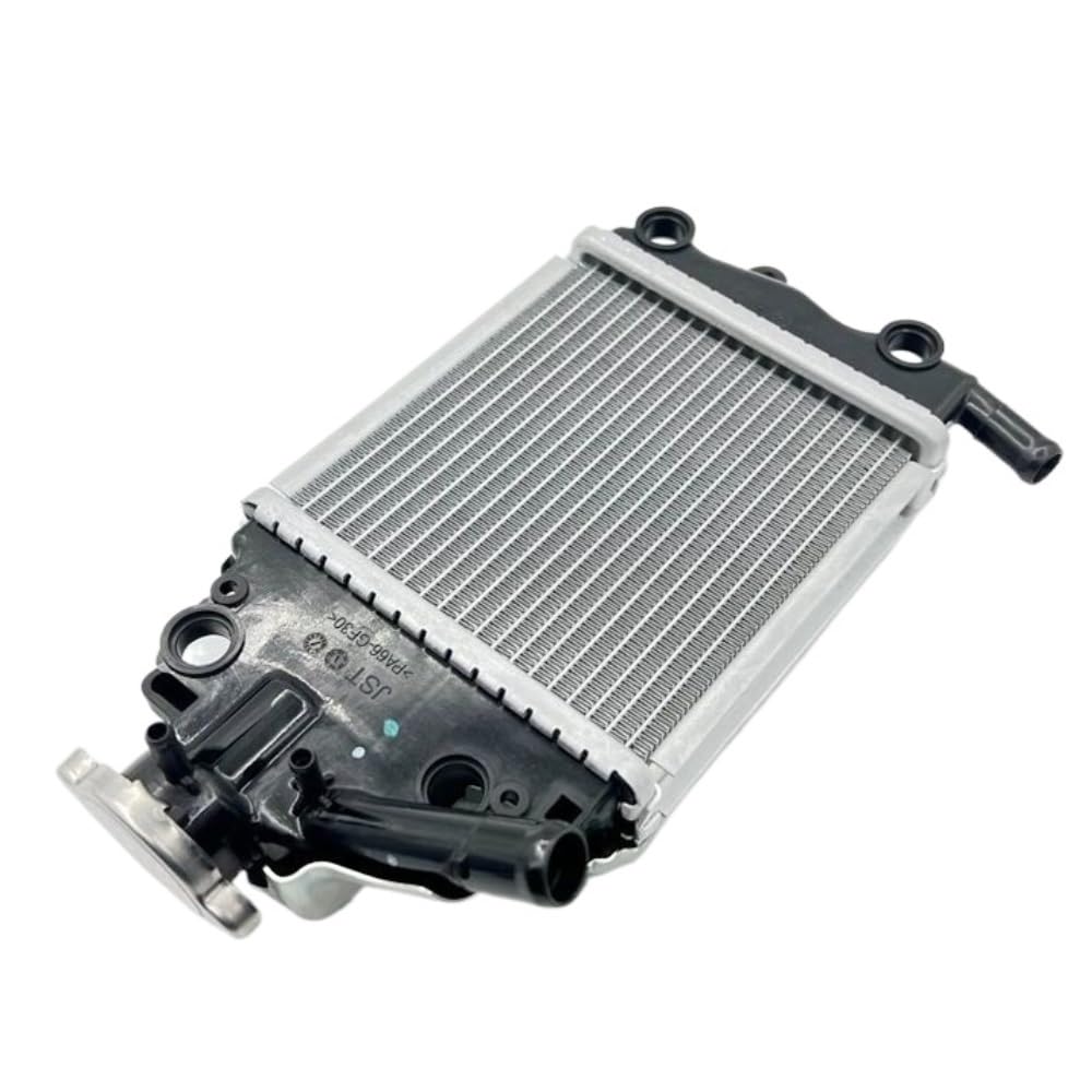 Accessori moto adatti for GW250-A Chi ADV150T-36 Acqua DY150T-30 VRF39 Raffreddamento del radiatore