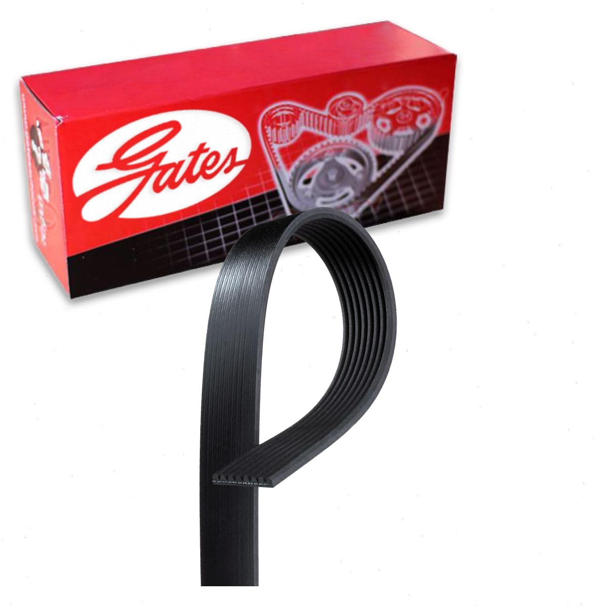 Gates Micro-V Serpentine Belt Compatible with Ford F-250 Super Duty 6.7L V8 2012-2016