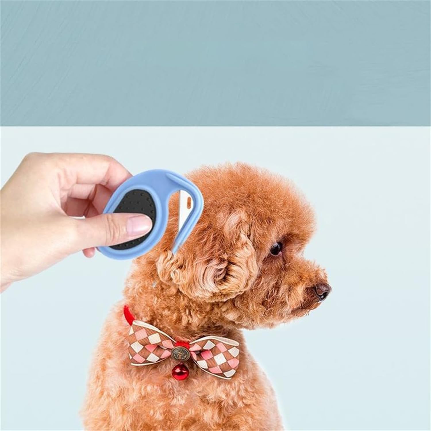 2 Pieces Tie Comb Dog Shedding Comb Tool, Massage Comb Pet Supplies Dog Grooming Instrument Portable Pet Comb, Pet Hair Comb Lingerie Duster 5 61CLE2eFZOL. AC SL1500