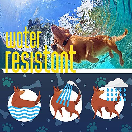 Flea and Tick Prevention for Dogs - Flea Collar - Image 7