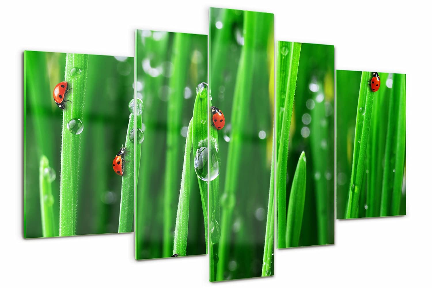 Art Mural Verre Acrylique Cadre Triptyque Haute Définition Coccinelles 170cm