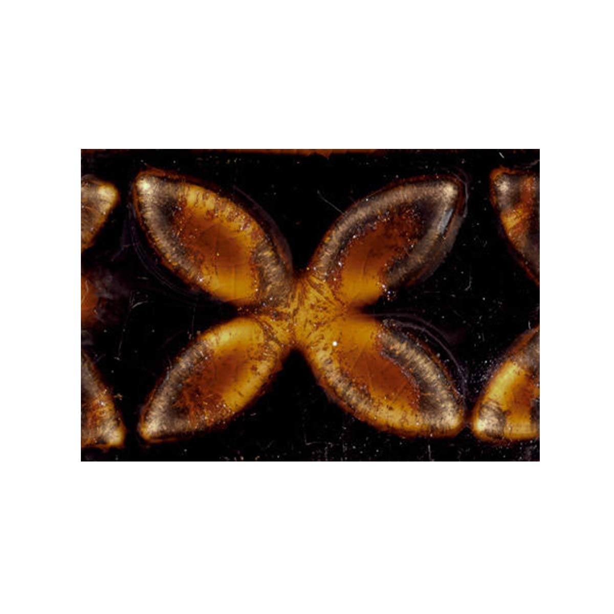 AMACO Potter's Choice High Fire Glaze Aventurine