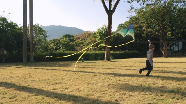 Amazon.com: SYNCFUN Large Delta Kite Gradient Green– Easy to Fly