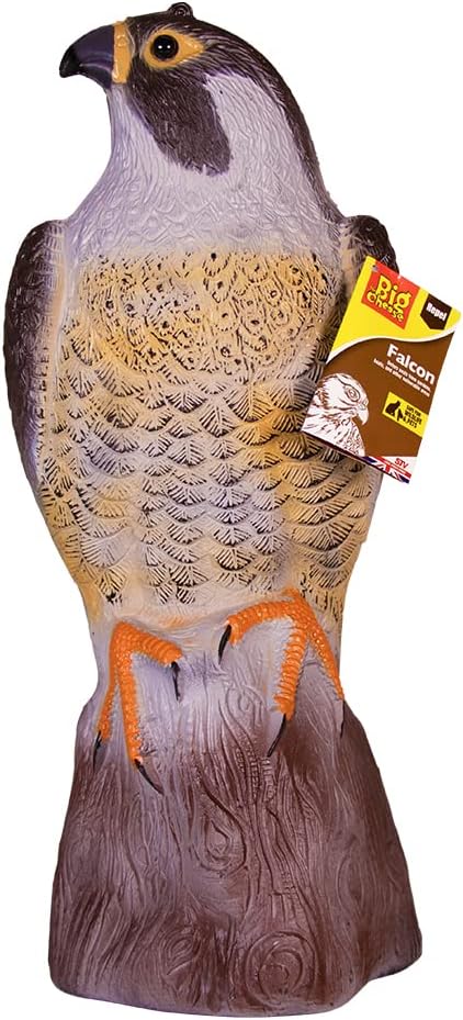 The Big Cheese Standing Falcon Life-like Decoy Deterrent, Scares Birds from Gardens and Buildings