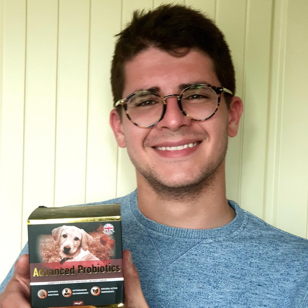 Traitement Chien probiotiques – 60 croquettes Naturelles pré et probiotiques pour Chiens - Goût Poulet (English)