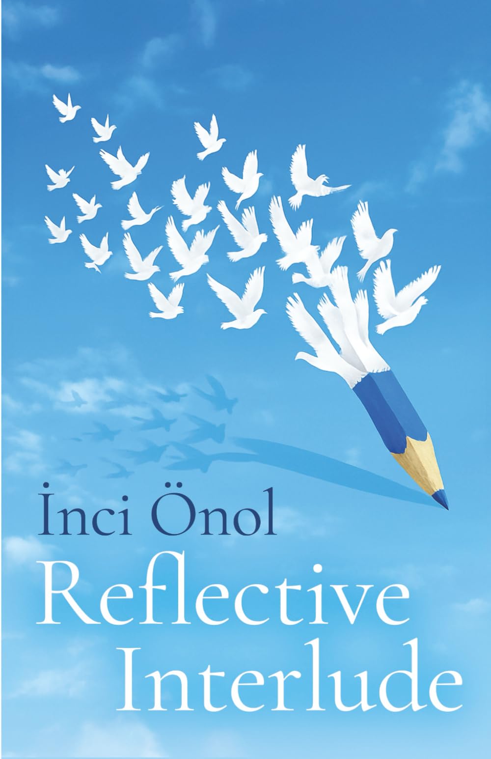 Reflective Interlude (Paragraf Books)