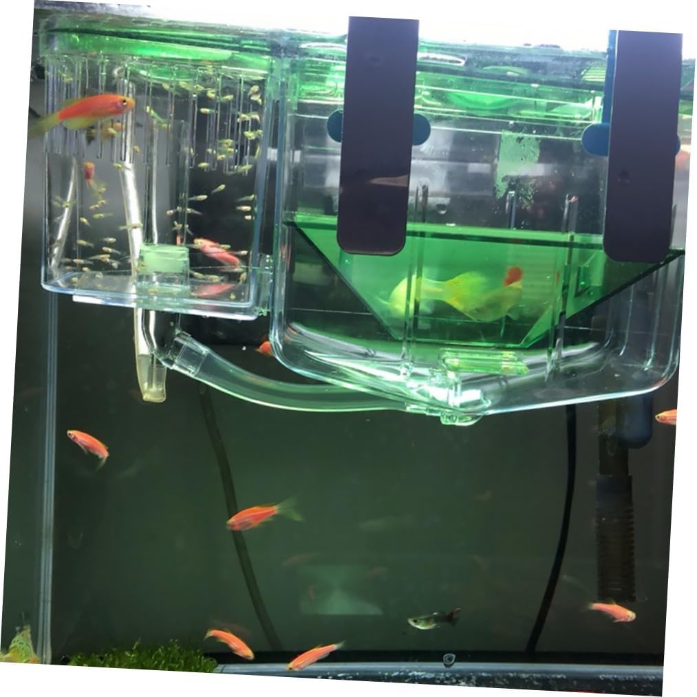 Gadpiparty Fish Breeding Box Aquarium Hatching Tank Self-Guided Isolation Breeding Tank for Aquarium Fish Seedlings with Circulating Water Flow Suitable for Home and Hatchery Use
