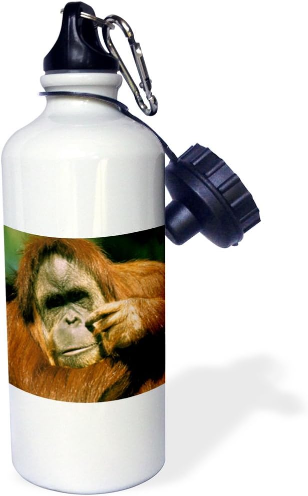 さる Malbon golfマルボン キャディバッグ スタンド式 ブラックゴルフ