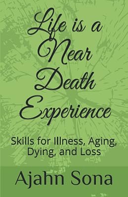 Life is a Near Death Experience: Skills for Illness, Aging, Dying, and Loss