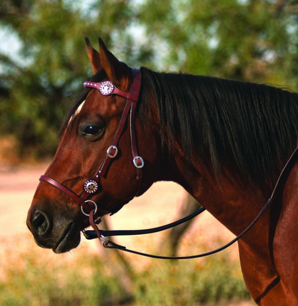 English Bridle Headstall Reins Leather Cowhide Genuine Horse Crossover Crossunder Raised Fancy Stitched Laced All Purpose Jumping Dressage Rubber Crystal Padded Adjustable Browband Full-Cob,M31