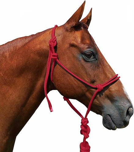 Vista 4 de Saddlesworld Cabestro de entrenamiento de cuerda para caballos con cuerda Azul,Negro -,Marrón,Verde claro,Rojo