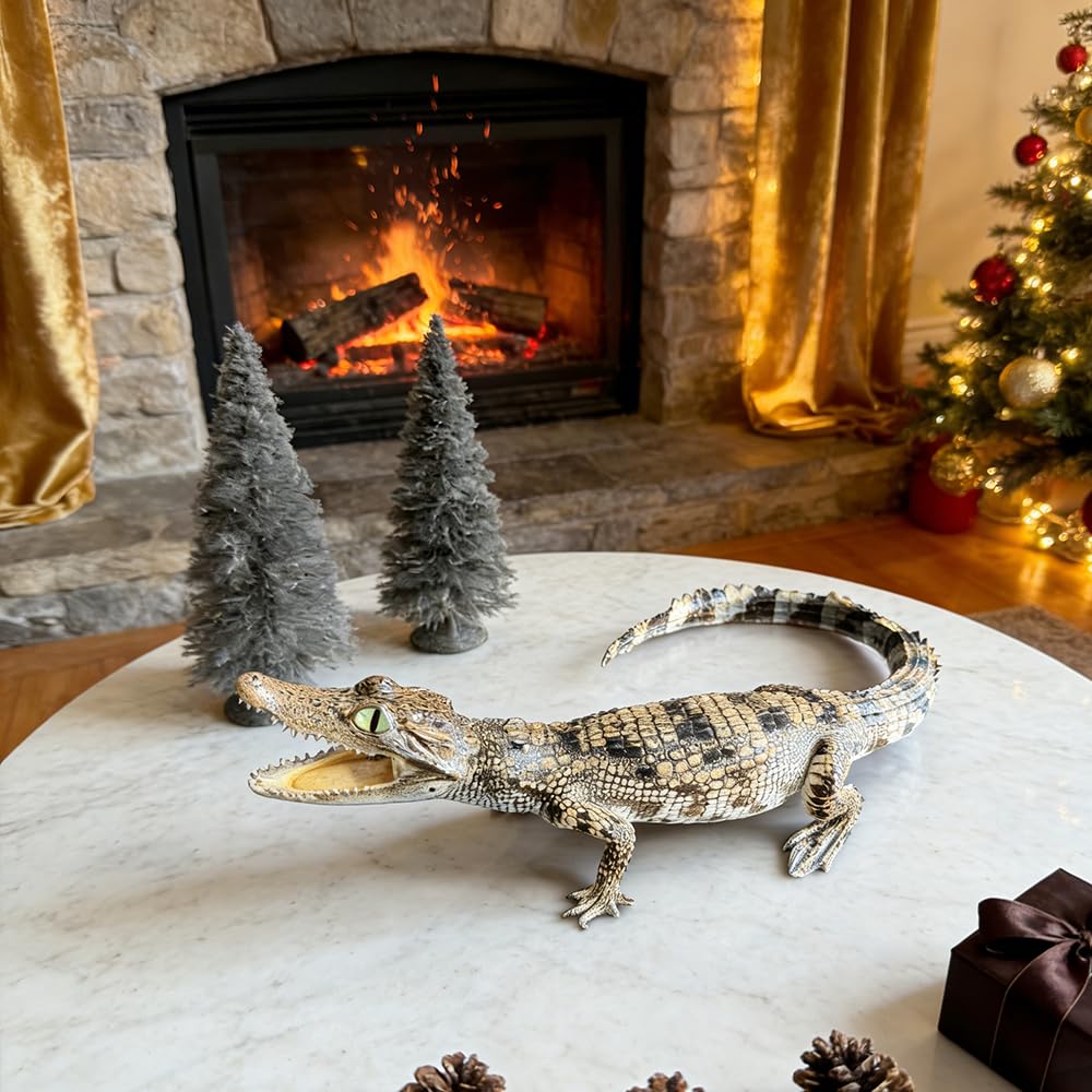 Real Alligator Specimen, Animal Taxidermy, Home Decor, Specimen Collectibles Study(Lying Down)