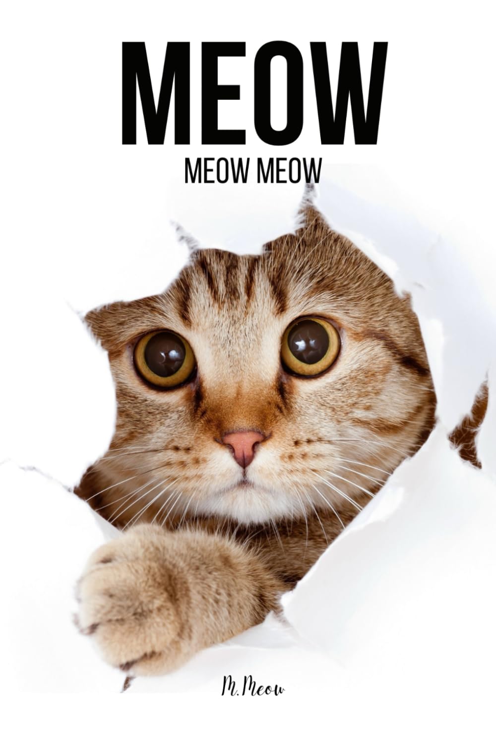 mewmeowページ フォックスヘッド オーバーサイズ スウェットシャツ | Maison