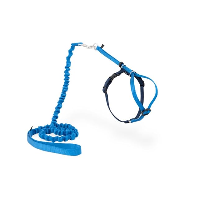 PetSafe Easy Walk, Arnés para Gatos, con Correa Elástica, Arnés de Seguridad, Ajustable, Cómodo, con Sección…