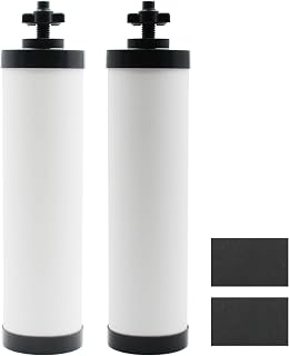 [Upgraded]Larayci Ceramic Filter Silver Infused Replacement for BB9-2® Black Carbon Filters, Compatible with Berkey® and ProOne® Gravity Water Filter System, Repeatable Cleaning Filters, Pack of 2