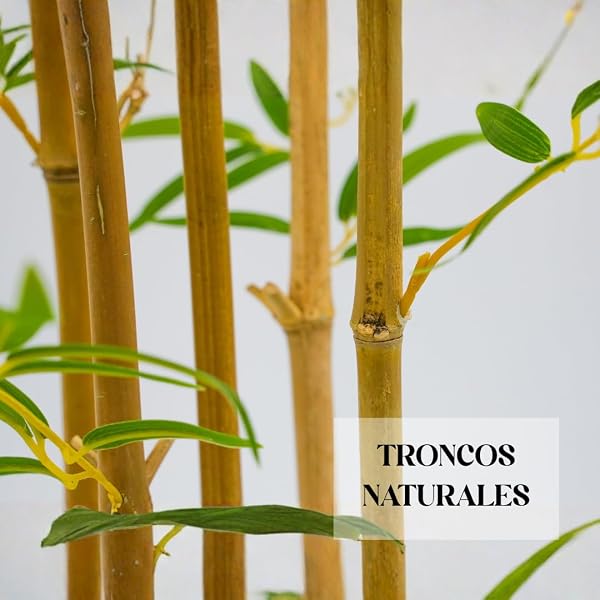 edihome, Planta Artificial Grande, Bambú Artificial 120 cm, Decorativas, Árbol, Decoración Hogar, para Interior, Oficina, Hoteles, Eventos – Planta Realista con Cañas Naturales y Verde (Bamboo, 120) - 5