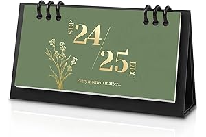 Small 2024-2025 Desk Calendar, Pocket-Sized: Stay Organized from September 2024 to December 2025