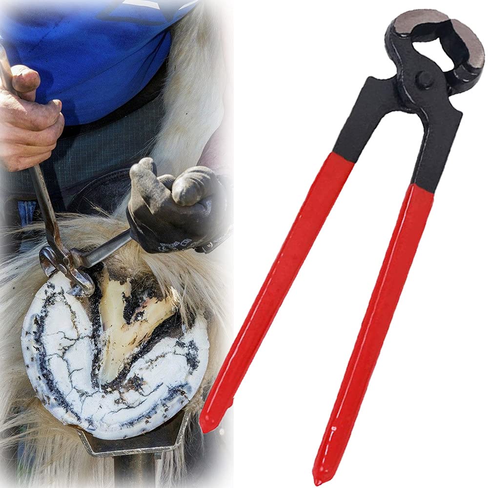 Buy Auto parts Horse Farrier Farrier Trimming Tool, Professional Farrier Trimming Tool Hoof