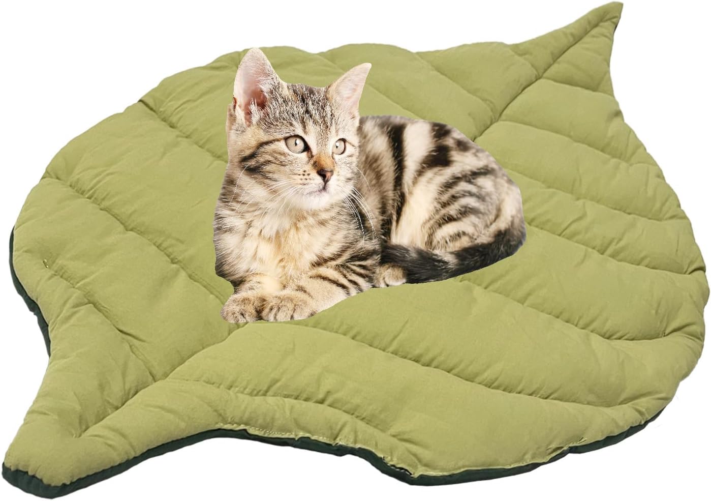 Amazon.com : Hodpyihc Leaf cat Bed, 19.76''*26.87'' Cat Mattress ...