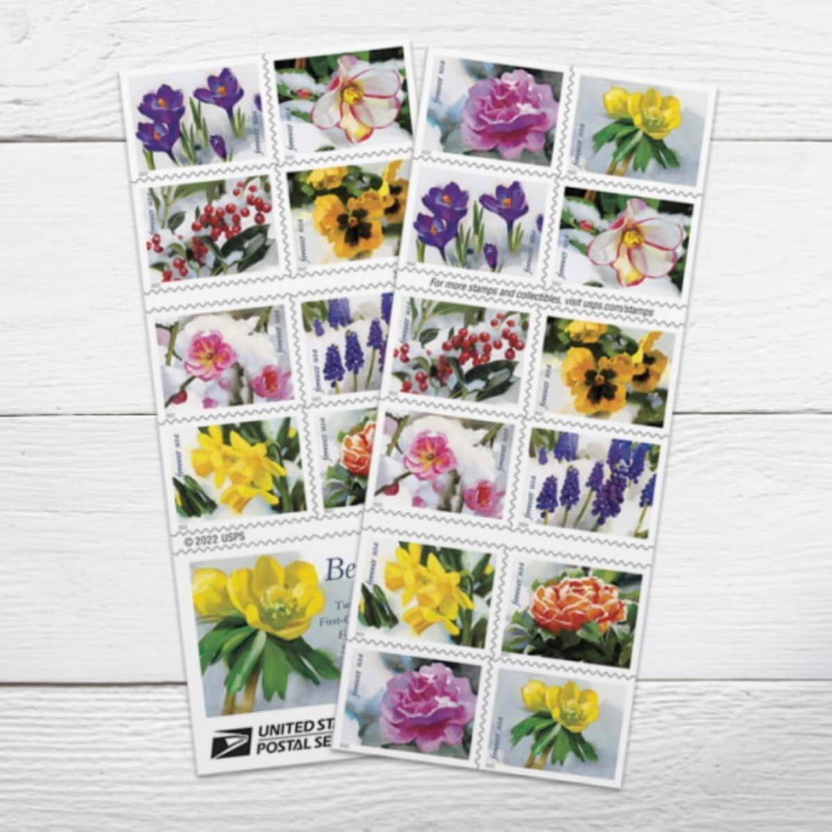 Snowy Beauty 2022 (Book of 20) Winter Flowers, Garden, Wedding, Love, Celebration, Holiday First-Class Mail Forever Postage Stamps