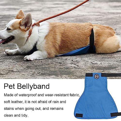 Barriga Cachorro | Filhote cachorro Cueca Masculino - Envoltórios cachorro macho com couro macio e m