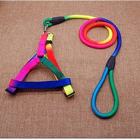 Hypeety Adjustable Rainbow Harness and Leash Set Cover