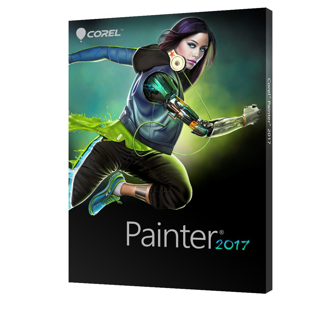 Painter 2017 ML