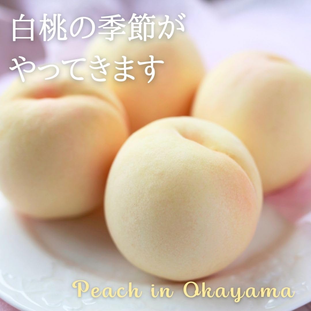 【現品】岡山県産　岡山白桃　千種白鳳&白鳳　4キロ箱　ご自宅用① Amazon.co.jp: 桃 ご家庭用 4kg 岡山 白桃 白鳳 はくほう 白麗 はくれ