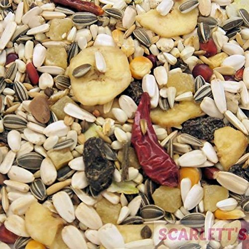 Colonels Parrot Tropical Bird Seed 12.5kg