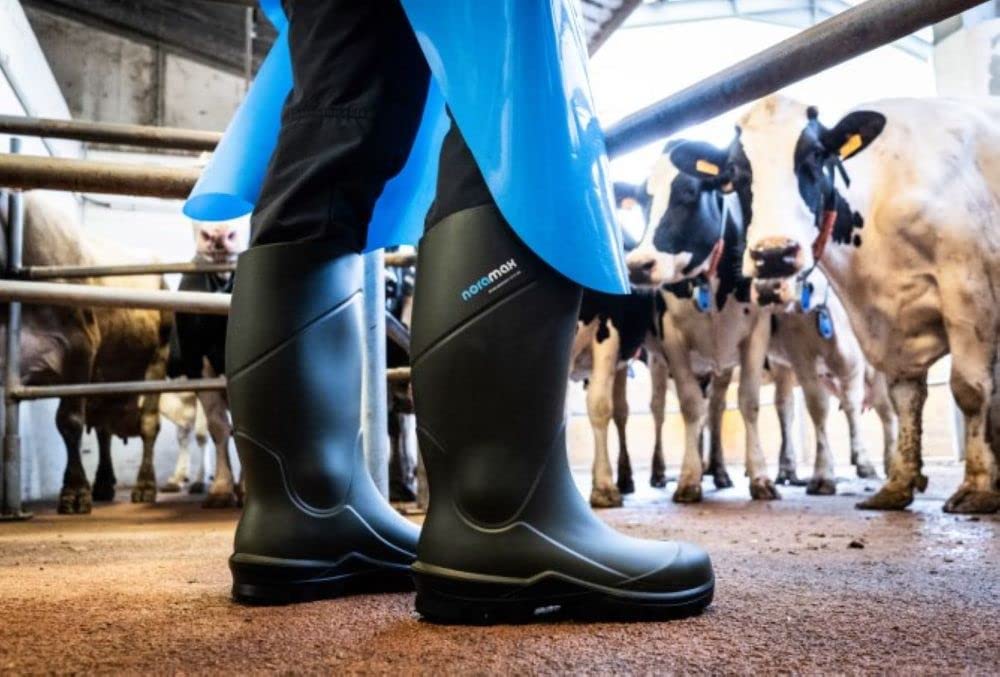 NORAMAX Safety Sicherheitsstiefel S5 (numeric_45)