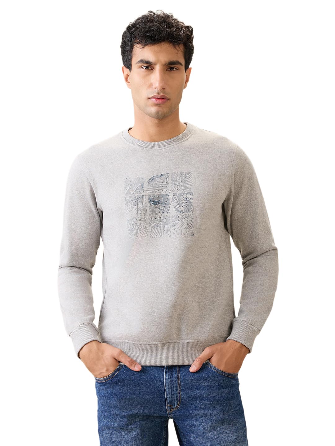 park avenue Men Full Sleeve Slim Fit Print Pattern Cotton Polyester Blend Regular Neck Regular Neck Casual Sweatshirt-picture-43