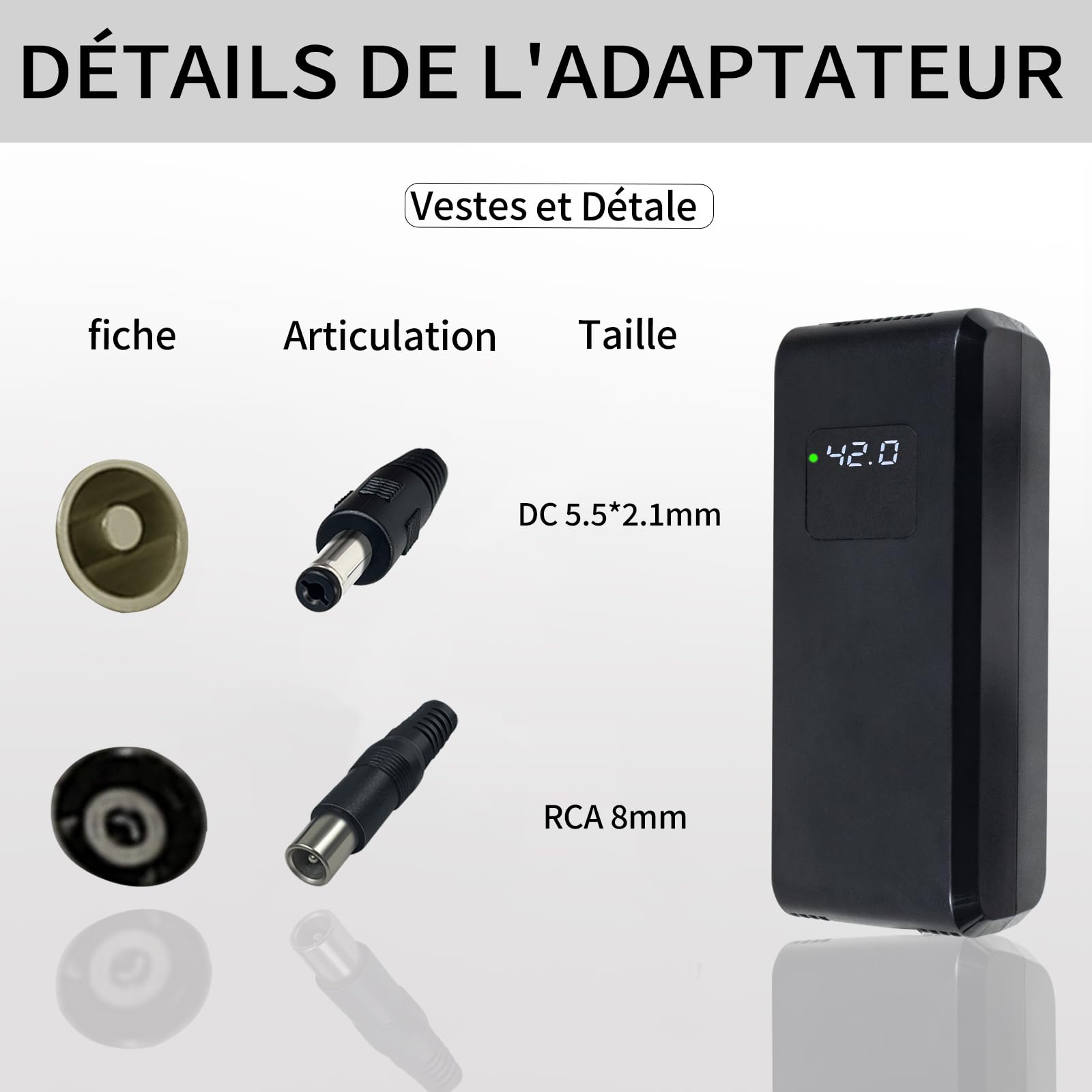 Caricabatteria al litio da 42 V 5 A per biciclette elettriche e scooter Caricabatteria rapido per batterie agli ioni di litio da 36 V con display ad alta definizione