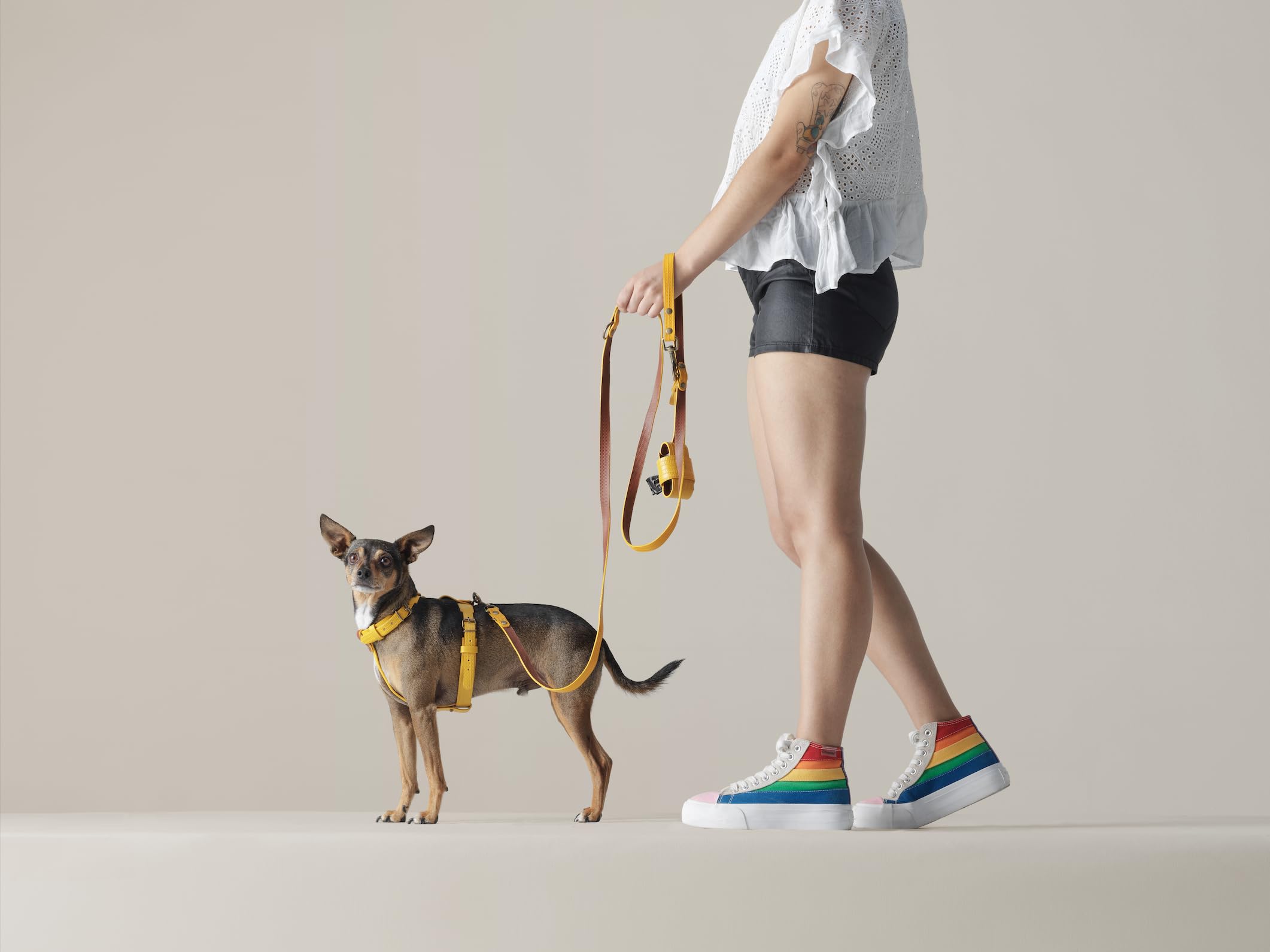Arnés para Perros PILATUS S | Diseño Suizo Hecho a Mano en España | Mangueras de Bomberos Recuperadas de Suiza, España y Francia | Arnés Cómodo y Resistente
